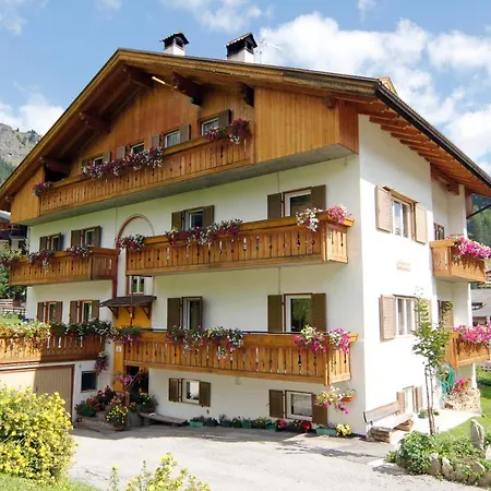 Lezuo Iris * 아라바